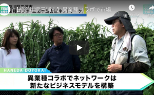 テレビ出演